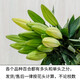 Exclusive for live broadcast, 10 Siberian single-petal lilies, 1 serving