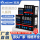 Digital display intelligent temperature control instrument JL-100/400/700/900 thermostat electronic thermometer JL-100