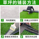 Famous Jiuzhou fake lawn simulated artificial turf plastic green carpet rooftop balcony roof sun room villa courtyard 2 meters wide * 25 meters long 1.5cm grass height