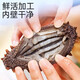 Sea cucumber, ready-to-eat sea cucumber single pack, Dalian fresh sea cucumber single pack, 500g seafood holiday gift box, ready-to-eat sea cucumber 31-50 pieces/Jin Jin equals 0.5 kg