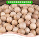 Shantou Lincun camphor balls, natural pure camphor wood strips, camphor wood balls, sanitary balls, wardrobe mold-proof, insect-proof, moisture-proof, aromatic, deodorizing and insect-repellent, 20 balls + 2 bags of camphor wood chips