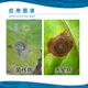Heyi (HEYi) Jiangxi Heyi 40% sclerotinia sclerotiorum red spot disease rapeseed sclerotinia pesticide fungicide sclerotinia sclerotiorum 500g