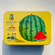 Spring Branch Rhyme American Double-cropped King Lazy Man King Watermelon Seed Super Sweet Extra Large Resistant Heavy-Stupped Watermelon Seed Field Base Special Seed Khakimetu 50g About 700 Tablets