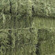 Alfalfa hay, fodder for cattle, sheep and horses, alfalfa fodder for alpacas, large zoo feed, alfalfa 50kg