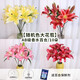 AB grade high-quality perfume lily flowers, hydroponic flower arrangement, home life water-raised fresh-cut roses from Yunnan, straight hair, high quality, AB grade random color large buds, 10 lilies + preservative