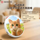 INNOTRIK AI spoken language training, one-on-one immersive English speaking practice in multiple scenarios, listening and reading tool Cat