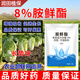 Runtian Baihu Official Genuine 8% Acetate Genuine Plant Growth Regulator Promotes Growth National Standard Wholesale 8% Acetate 12g*30 Bags