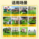 Simulated lawn carpet artificial artificial turf green outdoor decoration fake grass plastic mat balcony kindergarten 2 cm double layer encrypted spring grass 2 meters wide 6 meters long artificial cutting