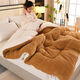 Fantasy thickened lamb velvet quilt double-sided velvet extra thick 10Jin Jin equals 0.5kg Winter quilt single student dormitory winter double quilt core quilt upgraded model white camel double-sided velvet 3 seconds quick heating 200x230 9Jin Jin equals 0.5kg thickened winter quilt