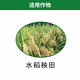 1% indolebutyric acid S-induced plant growth regulator for rice seedlings to promote rooting 500g*20 bottles per box