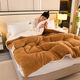 Fantasy thickened lamb velvet quilt double-sided velvet extra thick 10Jin Jin equals 0.5kg Winter quilt single student dormitory winter double quilt core quilt upgraded model white camel double-sided velvet 3 seconds quick heating 200x230 9Jin Jin equals 0.5kg thickened winter quilt