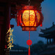 Xu Shansi New Year's hexagonal palace lantern balcony red lantern chandelier Chinese style antique building door head hanging wooden door lantern rotating wooden palace lantern 50# 07 style one pair