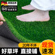 Simulated lawn carpet artificial artificial turf green outdoor decoration fake grass plastic mat balcony kindergarten 2 cm double layer encrypted spring grass 2 meters wide 6 meters long artificial cutting
