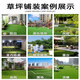 Simulated lawn carpet, artificial fake lawn, plastic green balcony, outdoor kindergarten bedding, courtyard artificial turf, 3 cm 5A encrypted premium spring grass, 4 meters wide * 12 meters long