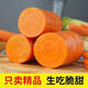 Dongdong Maicai, freshly dug carrots from the origin, high-quality small fruit hot pot ingredients JD.com, Henan fresh carrots 2Jin Jin is equal to 0.5kg, net weight (1.9Jin Jin is equal to 0.5kg)