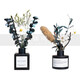Shantou Lincun Fukien Fumigation Floral Dried Flower Fumigation Bathroom Air Fresh Classic Black Home Soft Decoration Gardenia Square Vase