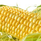 Jingxijia freshly picked golden fruit corn, fresh corn on the cob, popped sweet corn, crispy, sweet, and delicious corn, with box 1Jin Jin is equal to 0.5kg (single root 300g+)