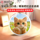 INNOTRIK AI spoken language training, one-on-one immersive English speaking practice in multiple scenarios, listening and reading tool Cat