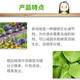 Zhongbao (ZhB) paclobutrazol multi-effect chlormequat dwarfing agent for flowers and fruit trees to control succulent growth and control leggy growth regulator 200g