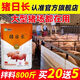 OIMG Pig Day Long Feed Additive for Piglets Growth Promoting Concentrated Premix Weight Gaining Fattening Agent Appetizer 12 Bags 10 Get 2 Free Single Bag Only 24.1 Yuan