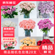 Jingdong Flowers Boutique Soilless Cultivation Roses in Random Colors 20 Pack New Year's Eve and New Year's Day New Year's Eve Gifts 45-50CM Straight from the Source