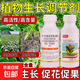 14 HydroxyBrassinosteroid Plant Growth Regulator Fruit Tree Vegetable Increase Production Authentic Foliar Fertilizer Promotes Flowering and Fruit 10 Bottles