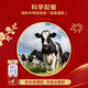 Mengniu Future Star Double Native DHA Growth Children's Milk High Calcium Pure Milk 190ml*12 Boxes Gift Box