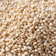 Wangyuanxing White Quinoa Seeds Grain Seeds Farmhouse Rice White Lime Meal Replacement Filling Porridge Coarse Grain Seeds Lvbao Quinoa Seeds Original 25g 1 Bag