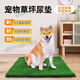 Guanxiang bird dog peeing toilet fake lawn pet peeing fake turf simulated lawn mat urinating carpet floor mat 20mm antibacterial high-efficiency urine grass 50cm*60cm