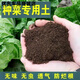 Onion, ginger, garlic, universal soil, flower and vegetable nutrient soil, nursery soil, flower golden kudzu special organic soil fertilizer, vegetable nutrient soil 20Jin Jin is equal to 0.5 kg
