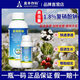 Aowei Aofeng 1.8% sodium nitrophenolate growth regulator promotes germination, accelerates rooting and early flowering, cotton agricultural use 1000g*12 bottles