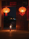 Xushansi New Year's blessing lanterns, red lanterns, housewarming gates, wedding flocking hangings, a pair of balcony and yard outdoor decorations, 60 gold Caifu (gold bead tassels) + (2 meters LED plug-in lamp) pair