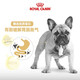 皇家狗粮 斗牛犬成犬狗粮 宠物中型犬 FBA26 全价犬粮 ≥12月 6.5KG