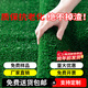 Famous Jiuzhou fake lawn simulated artificial turf plastic green carpet rooftop balcony roof sun room villa courtyard 2 meters wide * 25 meters long 1.5cm grass height