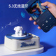 Canqu Little Lucky Bluetooth Speaker Wireless Vinyl Record Player Small Speaker Bluetooth 5.3 Home Desktop Card-Insertable Atmosphere Light Speaker Student Day Gift for Boys and Girls Blue Music Random Panda + Birthday Packaging Gift Bag