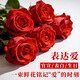Valentine's Day Flower Express Rose Bouquet for Girlfriend and Wife Confession Birthday Gift Nationwide Citywide Delivery Red Rose Sunflower Lily Mixed Bouquet