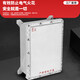Explosion-proof junction box empty box power distribution instrument box control cabinet stainless steel custom junction box lighting power operating column increased safety type 135*135*90