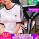 阿迪达斯 （adidas）女装套装秋季新款运动服立领夹克外套上衣休闲裤束脚长裤 两件套 JE6173+JD6522/梭织 M/165