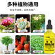 Eight Old Man Plant Vitality Solution Concentrated Nutrient Solution Growth-Promoting Phalaenopsis Hydroponics Moisturizing Green Plants and Flowers Universal Sustained Release Concentrated Plant Vitality Solution 50ml*1 Bottle Gray
