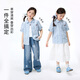 Xiaoyinman children's clothing girls plaid shirt breathable lace cuffs 26 summer mid-sized children's lapel casual top blue 150