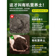 Flower soil nutrient soil for flower cultivation, general vegetable planting soil, household type flower soil, loose and breathable strawberry succulent nursery soil, general organic nutrient soil 10 Jin Jin equals 0.5 kg