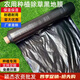 Ground black mulch plastic film for agricultural planting thickened anti-aging weeding insulation moisturizing weed prevention greenhouse fruit tree greenhouse 11Jin Jin is equal to 0.5kg black 1 silk thick 0.9m wide 500m long field style
