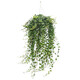 Ivy potted indoor hanging plants are easy to maintain, hydroponic green plants, purify the air, remove formaldehyde, and are evergreen all year round. 1 pot of green-leaf ivy (about 50 cm long) simple pot with hanging hook