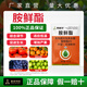 Aowei Aofengamine fresh ester regulator adapts to low temperature to promote growth. Agricultural use, synergy, detoxification, promotion of growth and yield, genuine product 500g*1 bag