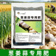 Special sulfur-enhanced granules for onions, ginger and garlic, slow-release to promote root enlargement, stronger spicy flavor, base fertilizer applied throughout the entire process, special fertilizer for onions, ginger and garlic 1000g*1 bag