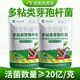 Dangxiu Paenibacillus polymyxa controls soil-borne diseases, universal plant seedlings and rooting improvement live bacteria, Paenibacillus polymyxa 500g*1