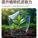 Intelligent Green Pine Soil Essence Black Water Fertilizer for Flowers General Loose Soil to Prevent Hardening Plant Loose Powder Buy 5 Get 3 Free to Prevent Hardening