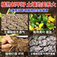 Eight old man loosening essence soil activator loosens and improves soil hardening without deep tillage universal saline-alkali soil conditioner fertilizer 3 bags 10% off loess turns black soil