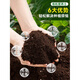Nutrient soil, nutritious soil, universal soil for growing vegetables, special soil for home use, loose and breathable soil for strawberry succulent seedlings, universal organic nutritional soil 10Jin Jin is equal to 0.5kg