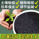 Intelligent Green Pine Soil Essence Black Water Fertilizer for Flowers General Loose Soil to Prevent Hardening Plant Loose Powder Buy 5 Get 3 Free to Prevent Hardening